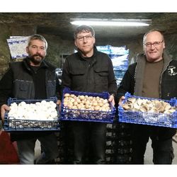 Image de Champignonnière la Perrière